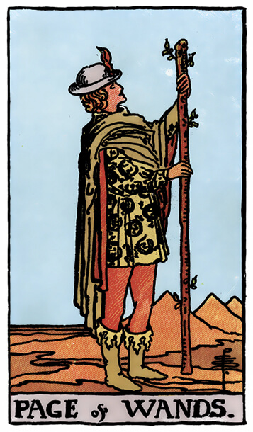 塔罗牌权杖侍卫正位解析逆位解析 - 宙星圈APP